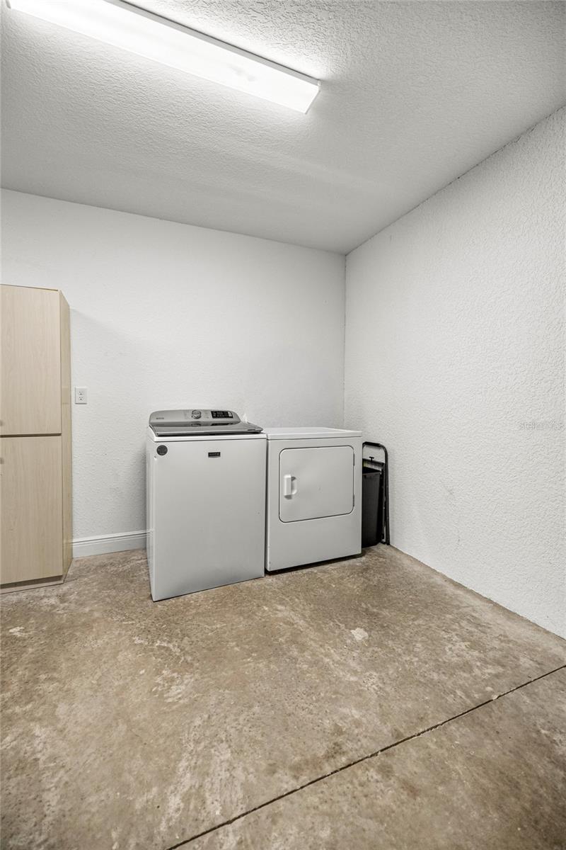 53 Olive Rd Property Photo 23
