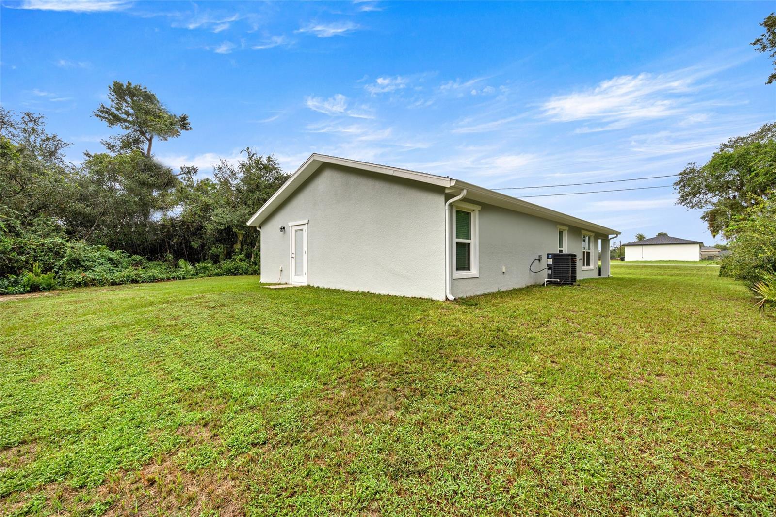 53 Olive Rd Property Photo 29