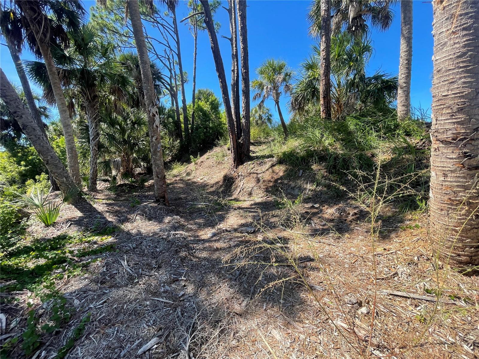 1221 Underhill Cir Property Photo 10