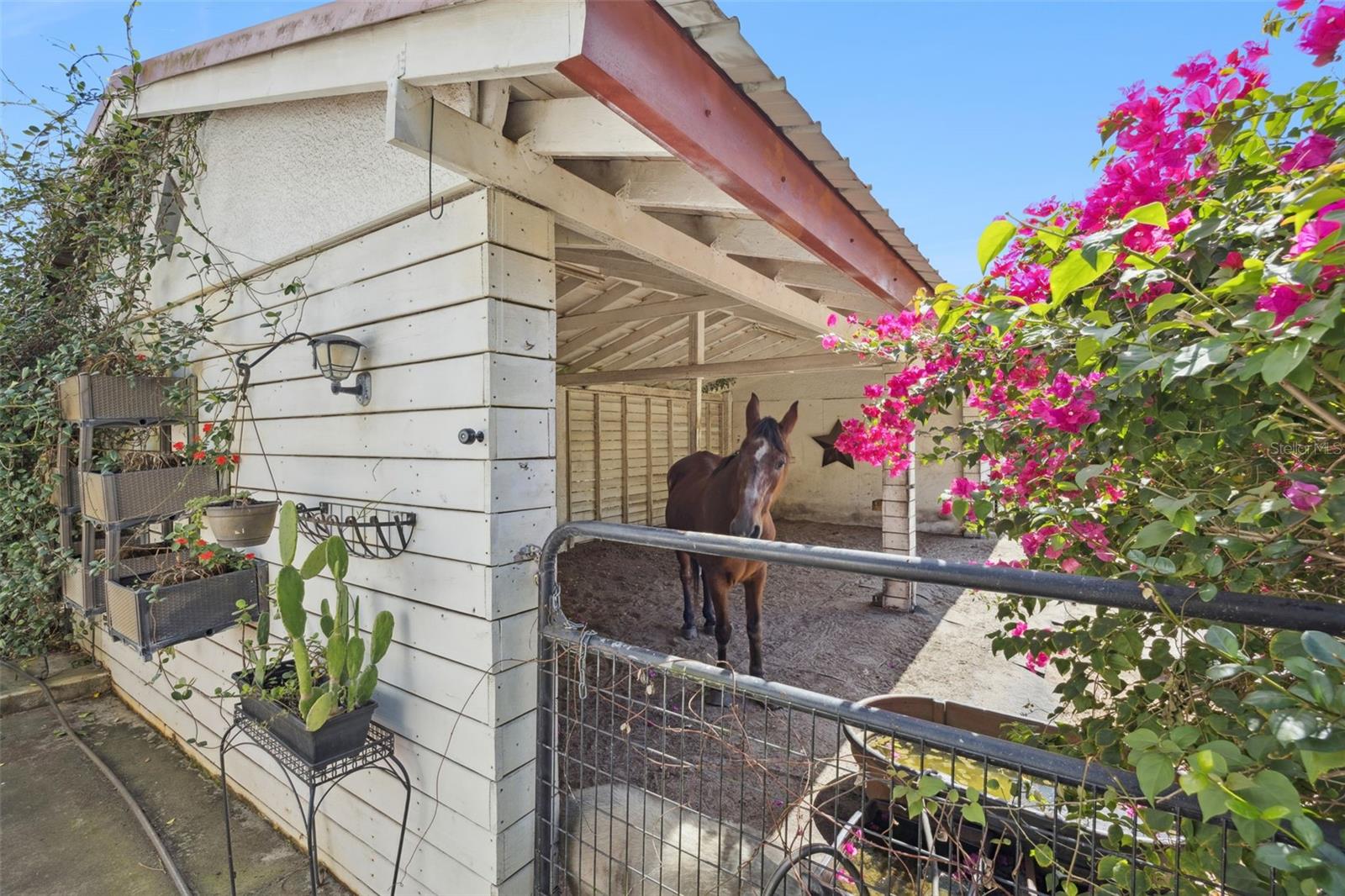 8515 Bay Lake Rd Property Photo 46