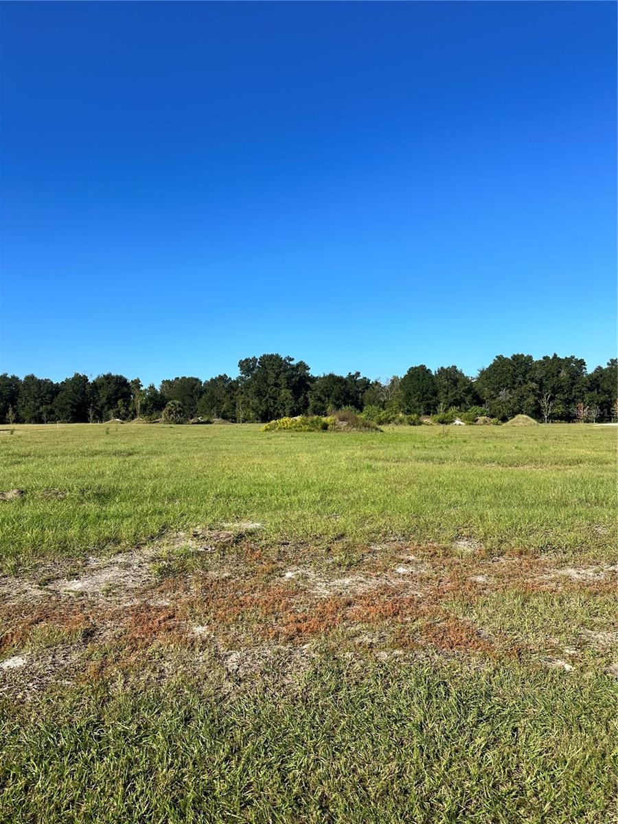 38793 Ranch Gate Blvd Property Photo 1