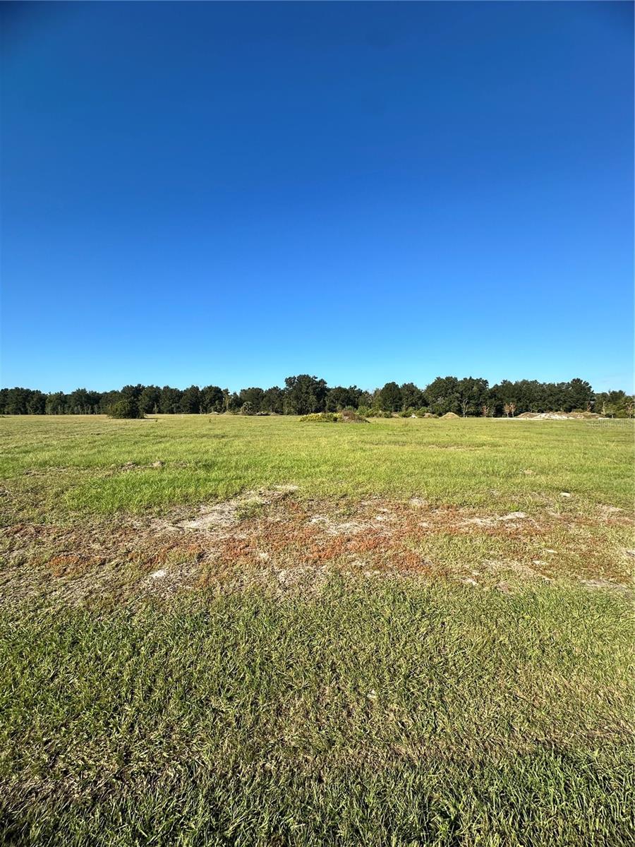 38793 Ranch Gate Blvd Property Photo 3