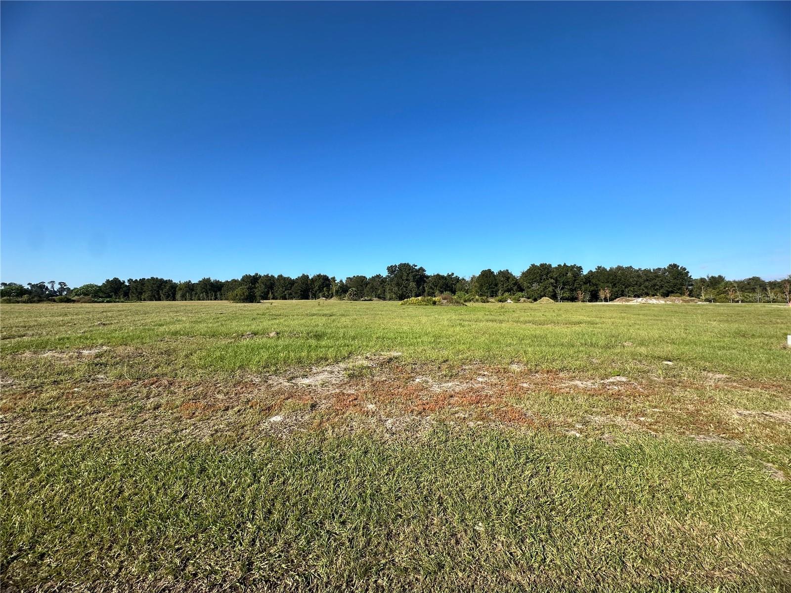 38793 Ranch Gate Blvd Property Photo 4