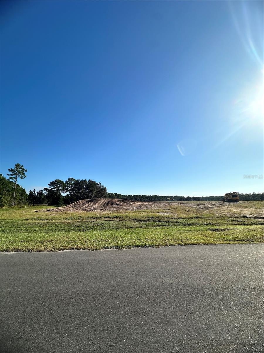 38404 Wooded Meadow Dr Property Photo 2