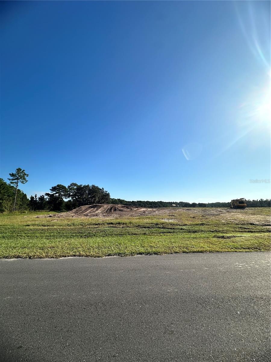 38404 Wooded Meadow Dr Property Photo 3