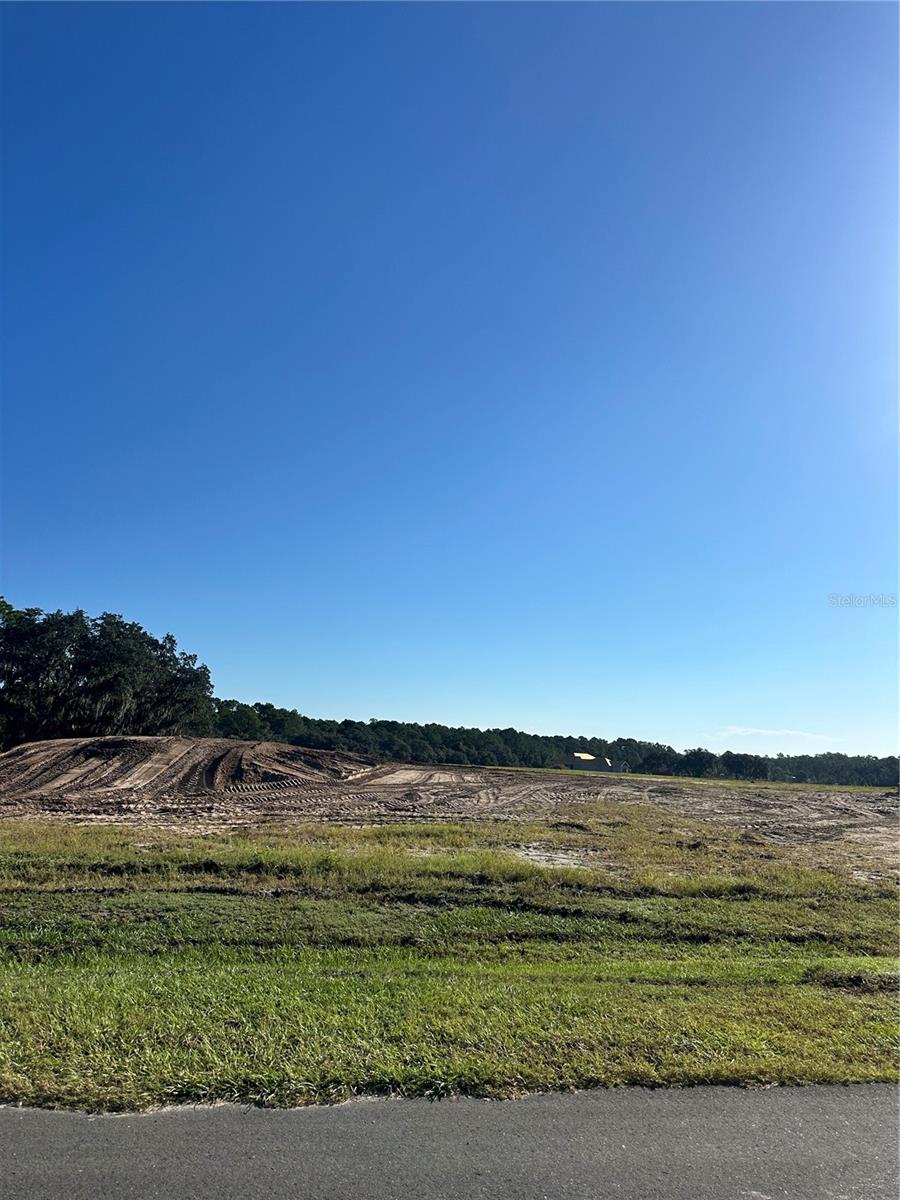 38404 Wooded Meadow Dr Property Photo 5