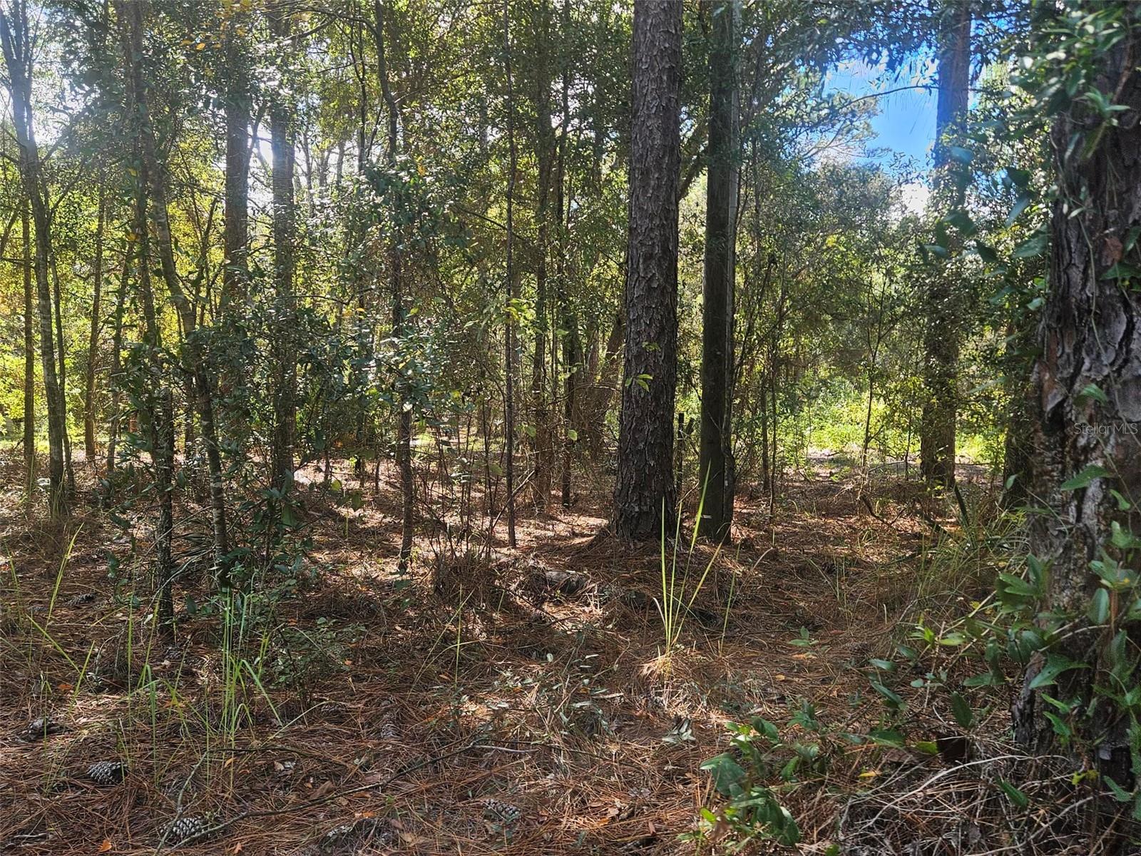 13099 Sw 92nd Pl Property Photo 1