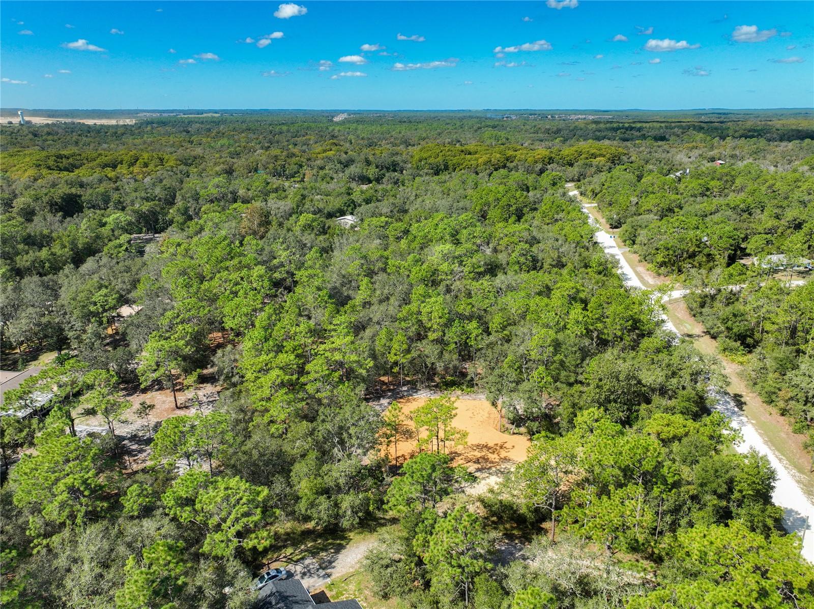 33216 Teakwood Dr Property Photo 17