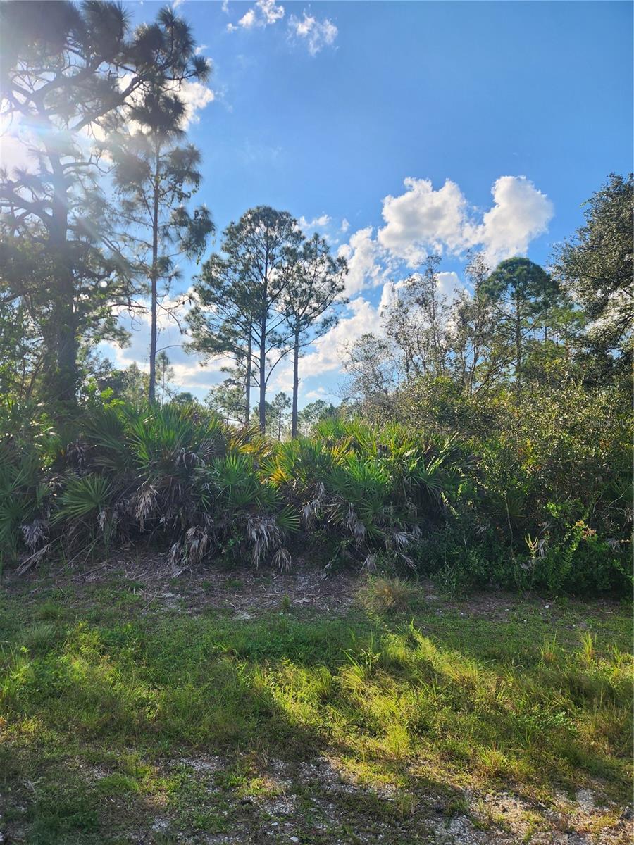 5101 SAN JUAN DR Property Photo 1