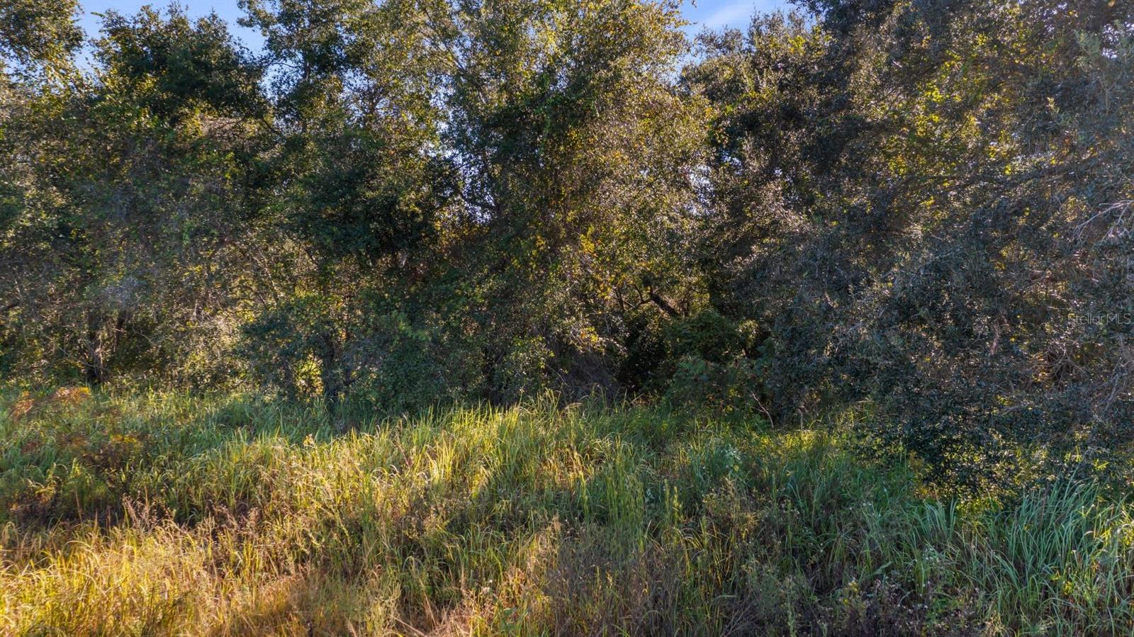 Us Highway 27 Property Photo 9