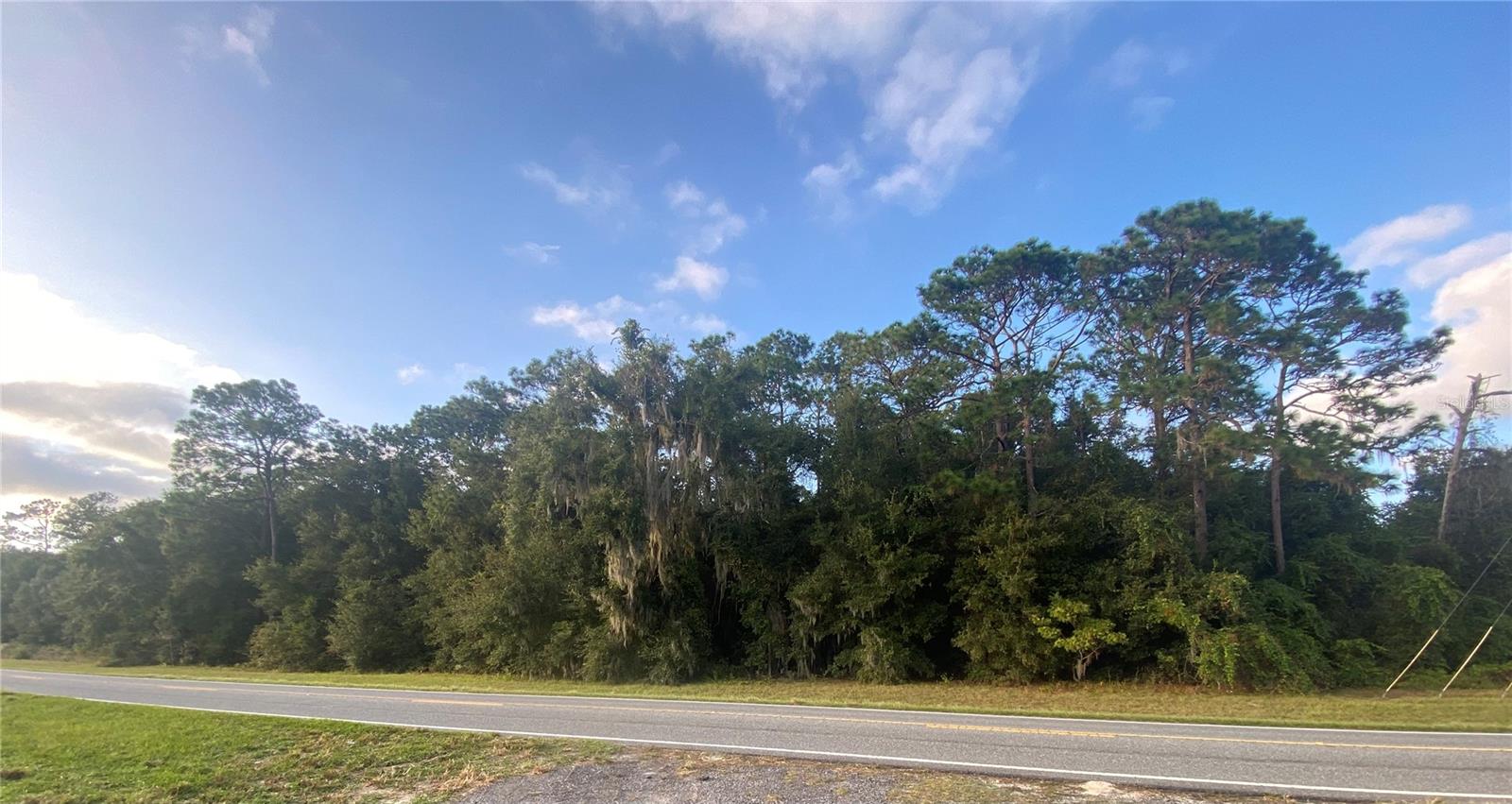 0 County Road 466 Property Photo 2