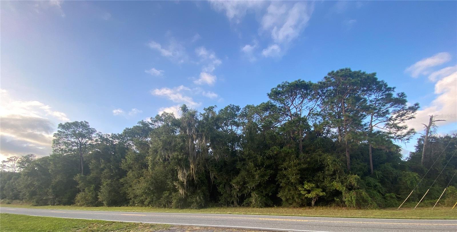 0 County Road 466 Property Photo 3
