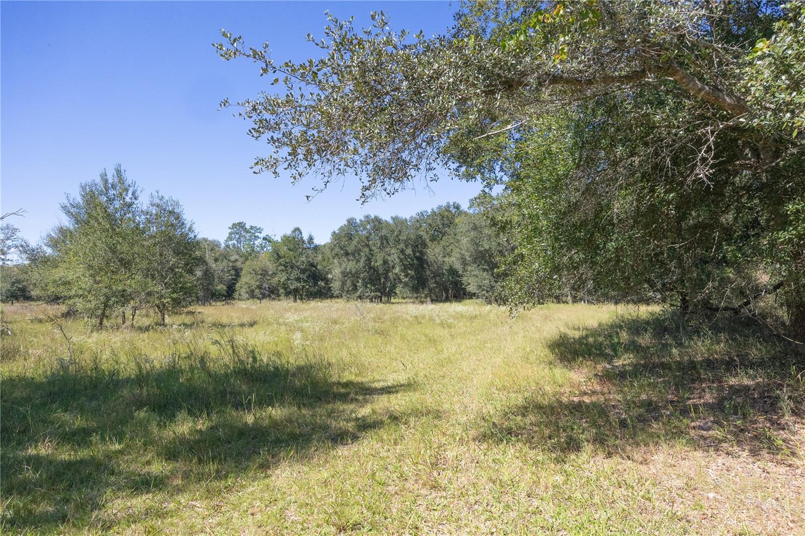Tbd Cr 673 Property Photo 9