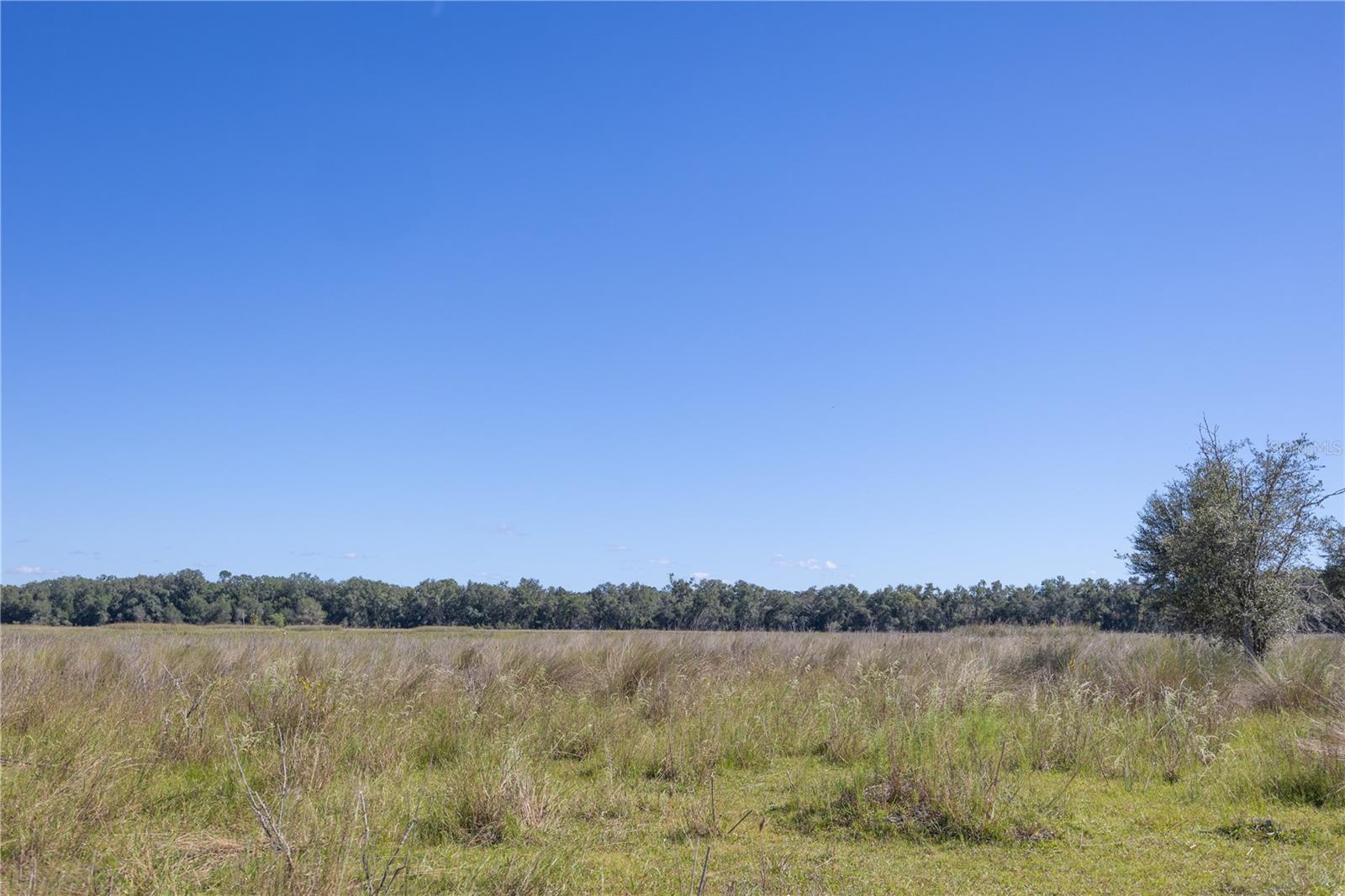 Tbd Cr 673 Property Photo 10