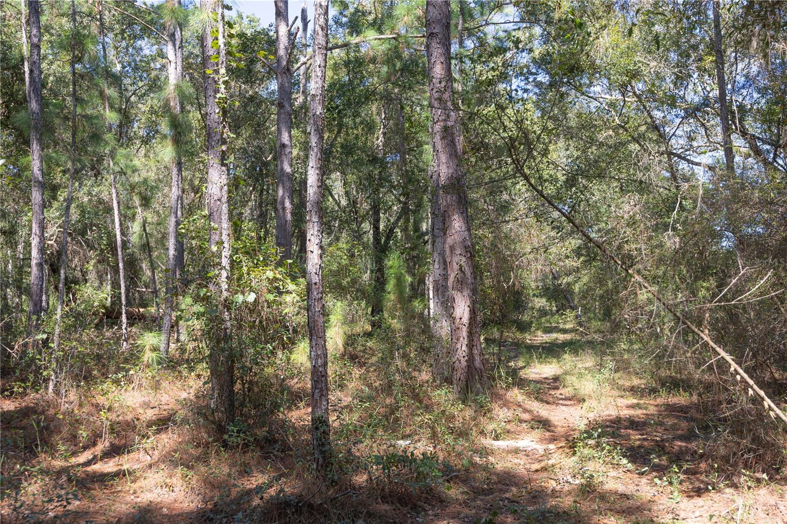 Tbd Cr 673 Property Photo 12