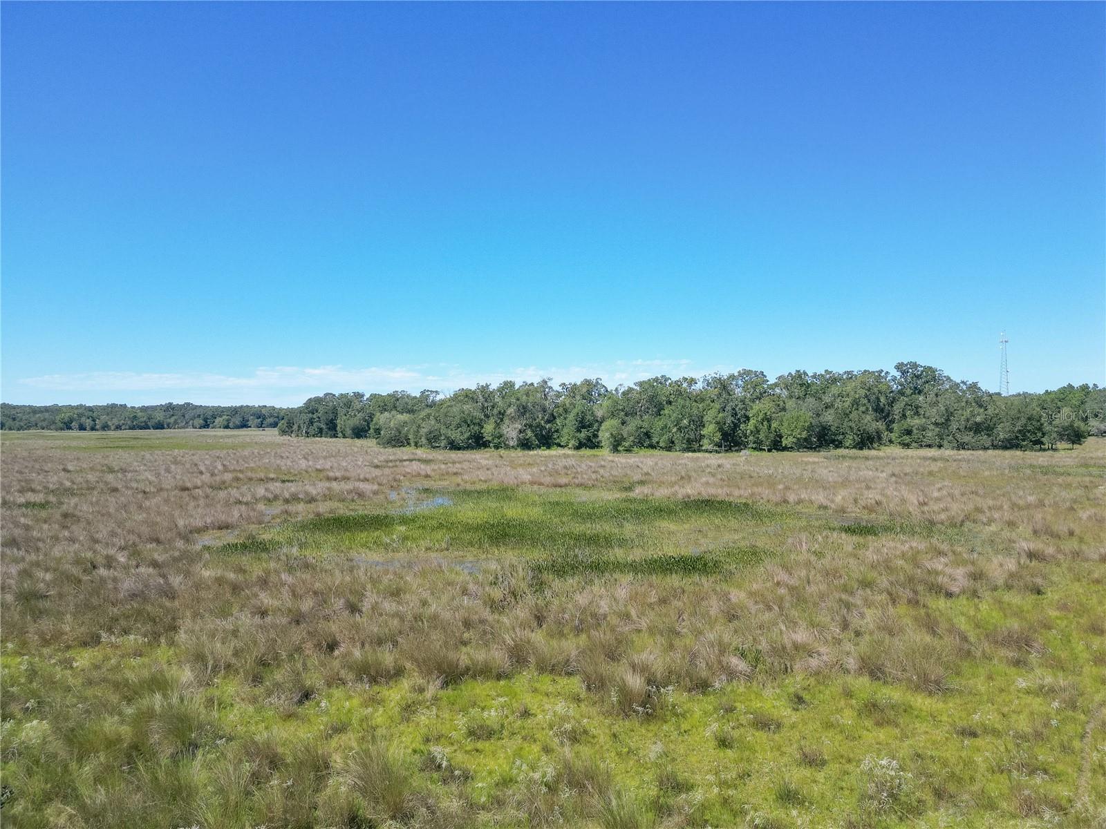 Tbd Cr 673 Property Photo 14