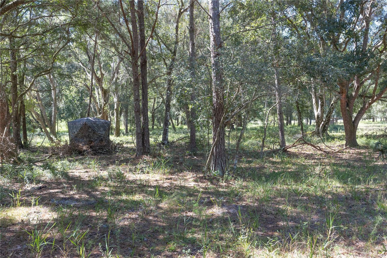 Tbd Cr 673 Property Photo 20