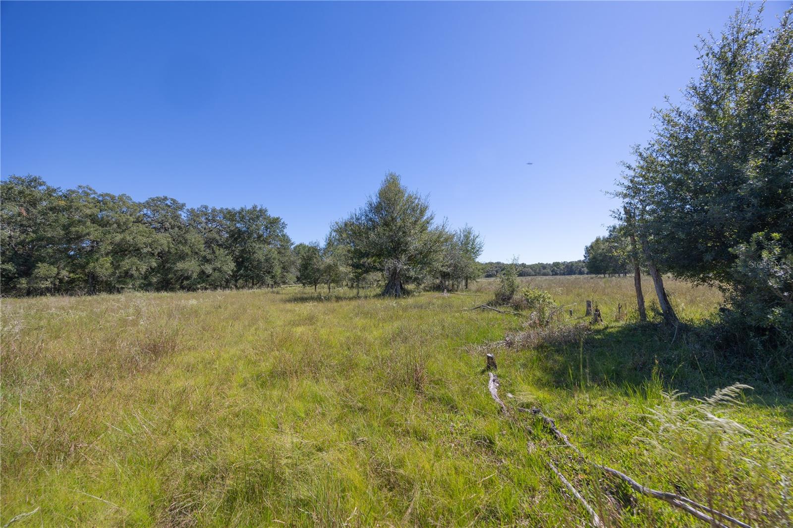 Tbd Cr 673 Property Photo 22