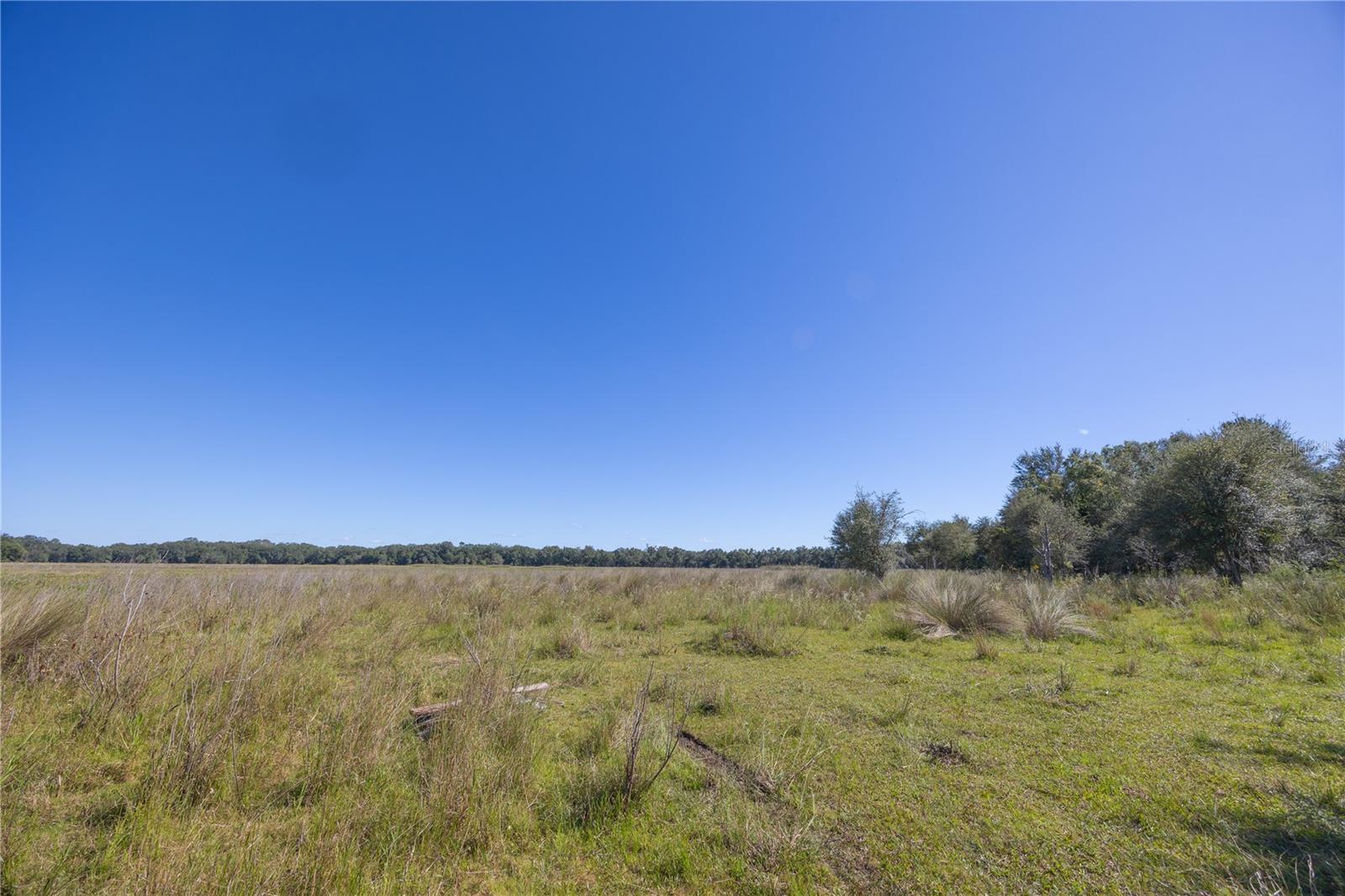 Tbd Cr 673 Property Photo 23