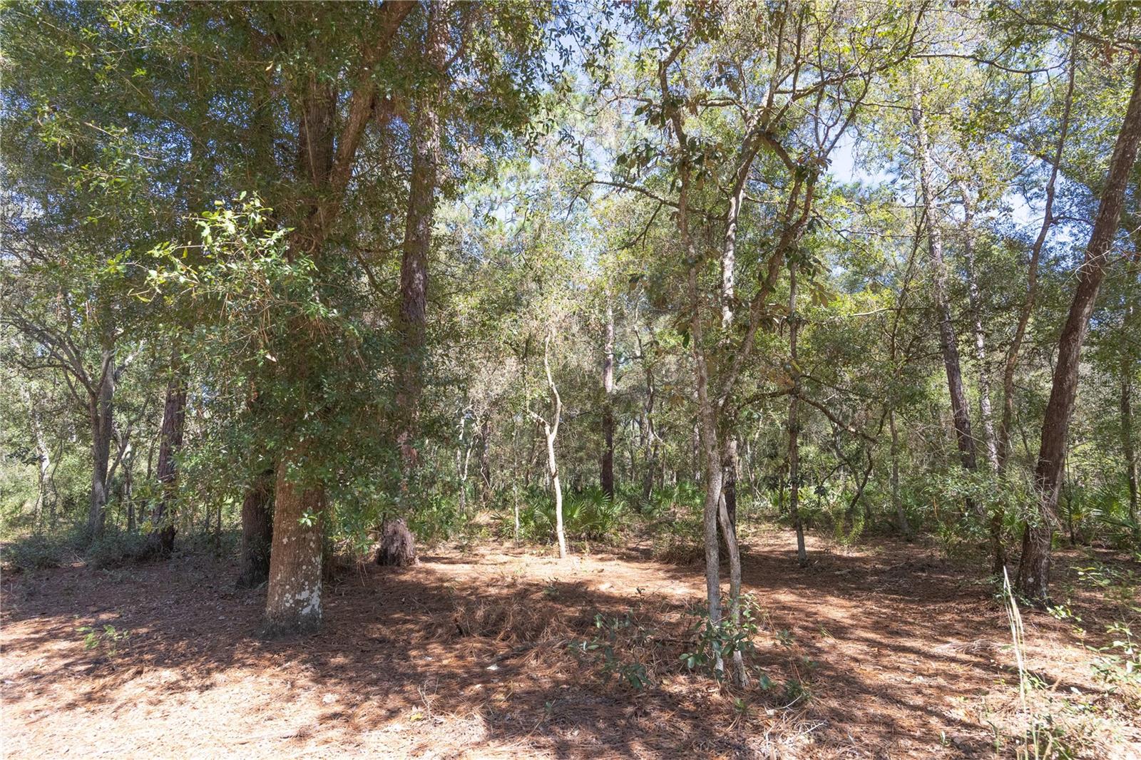 Tbd Cr 673 Property Photo 29