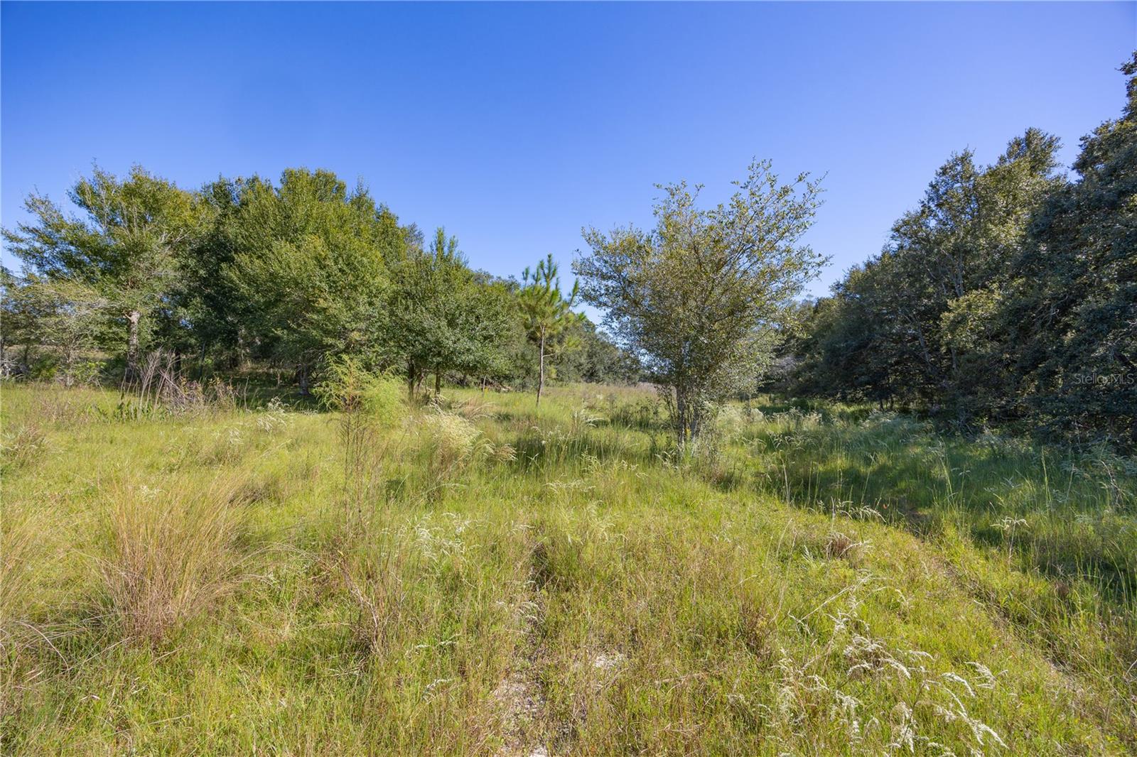Tbd Cr 673 Property Photo 31