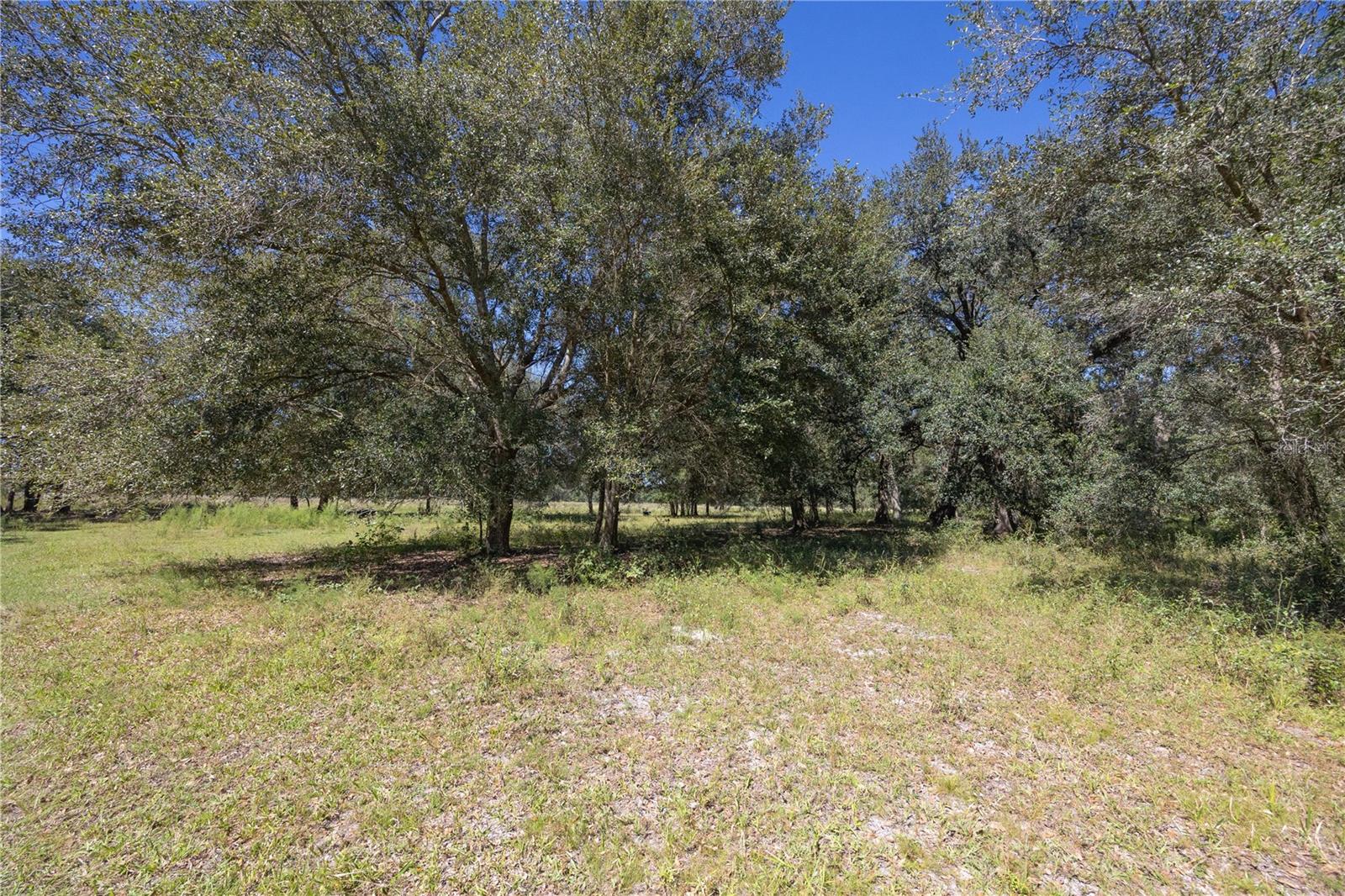 Tbd Cr 673 Property Photo 37