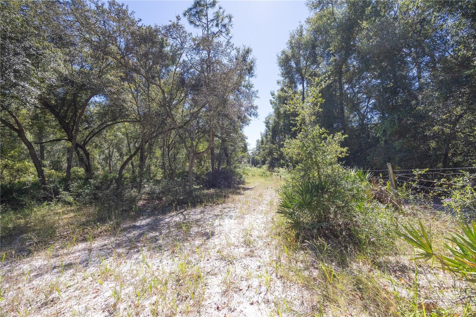 Tbd Cr 673 Property Photo 38