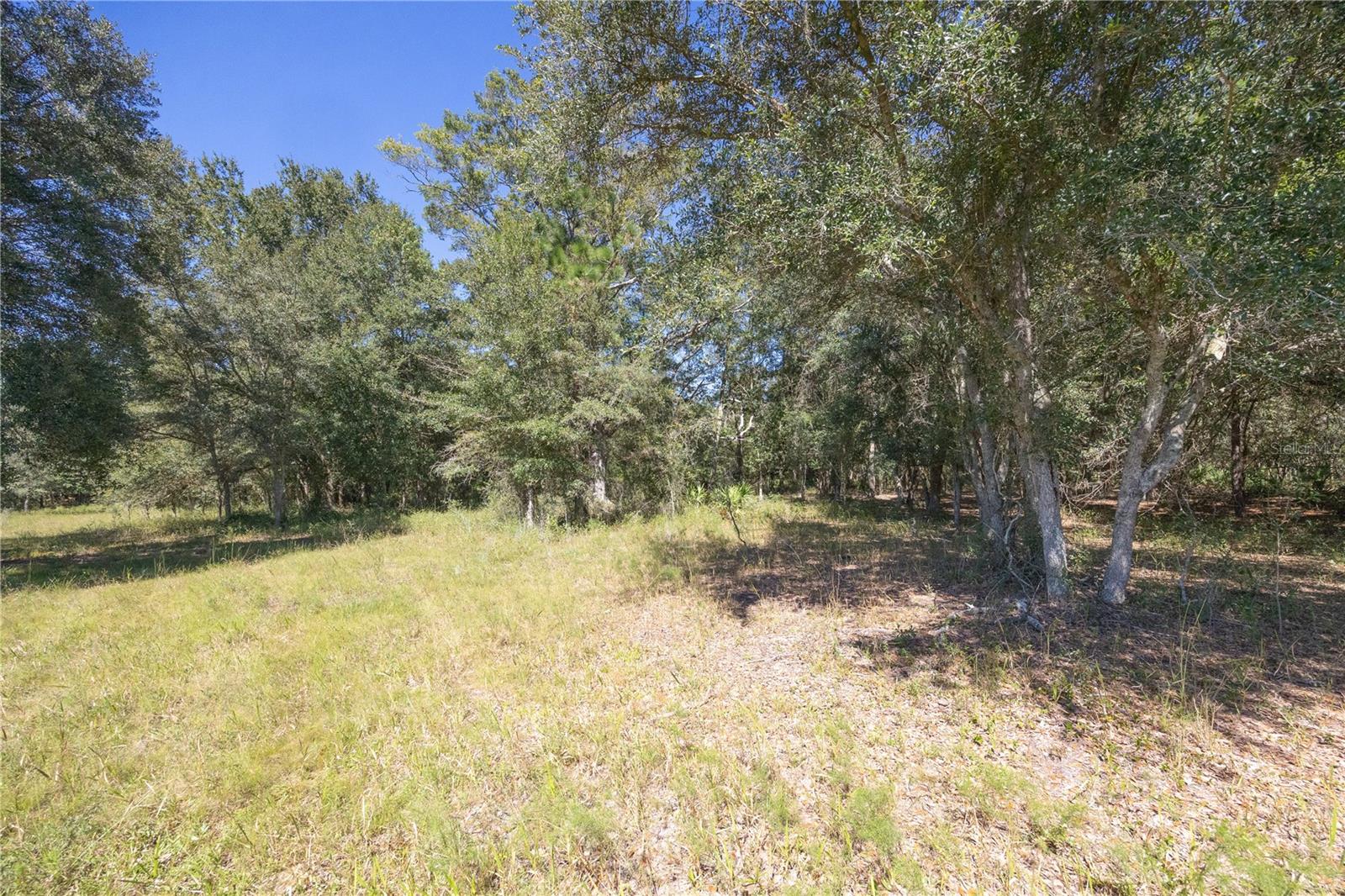 Tbd Cr 673 Property Photo 39