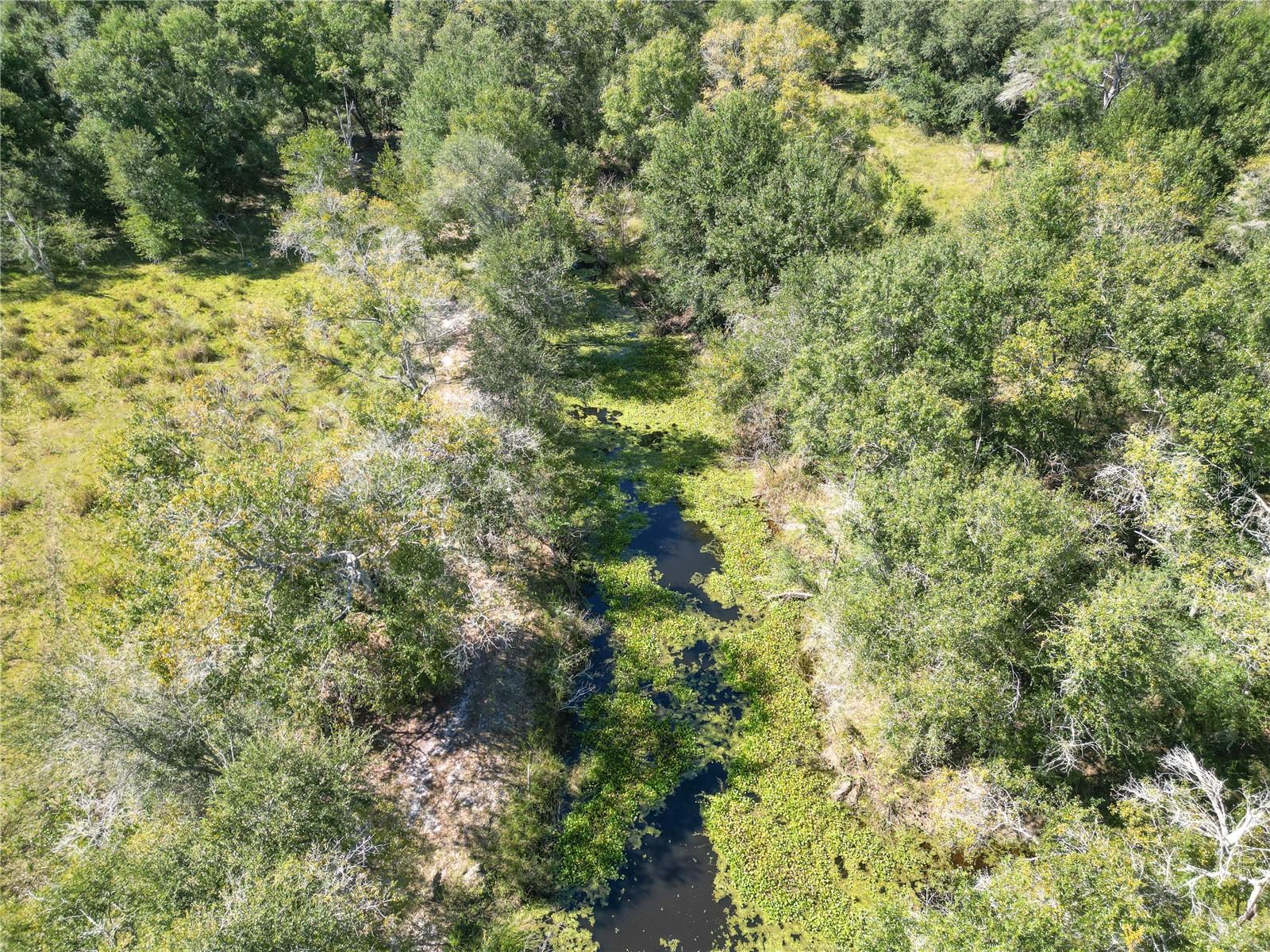Tbd Cr 673 Property Photo 44