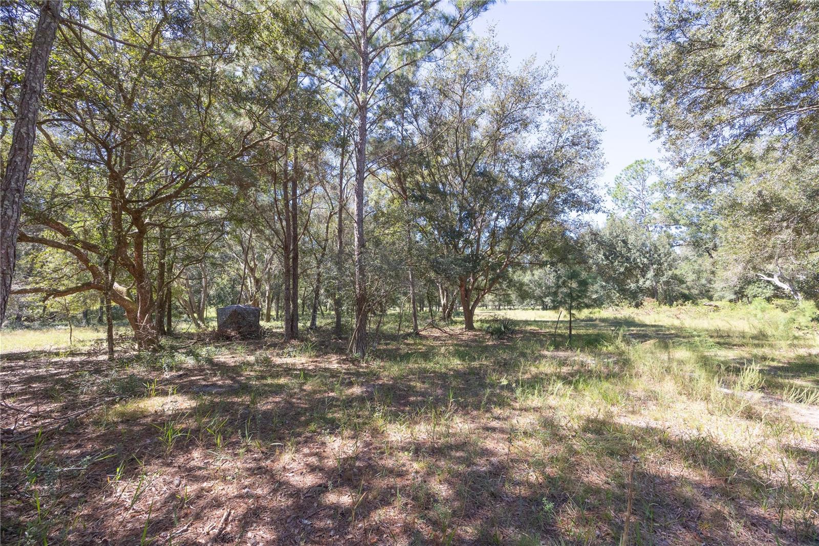 Tbd Cr 673 Property Photo 45