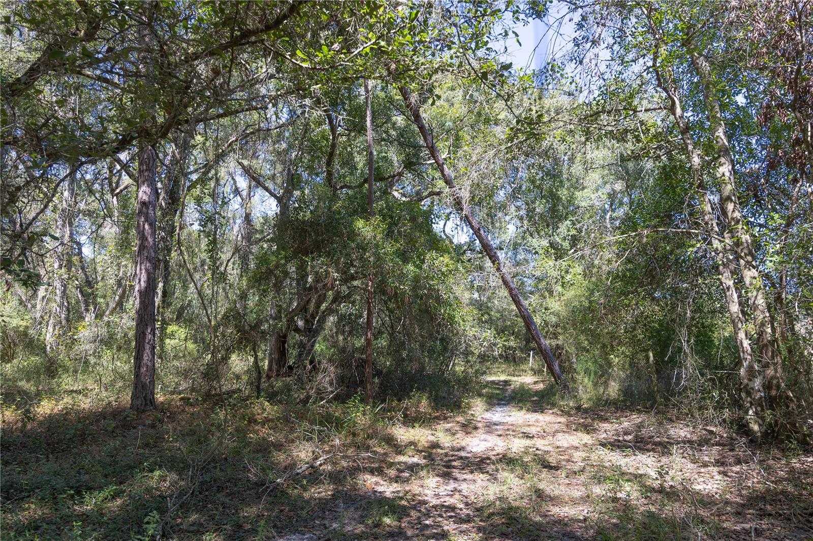 Tbd Cr 673 Property Photo 46