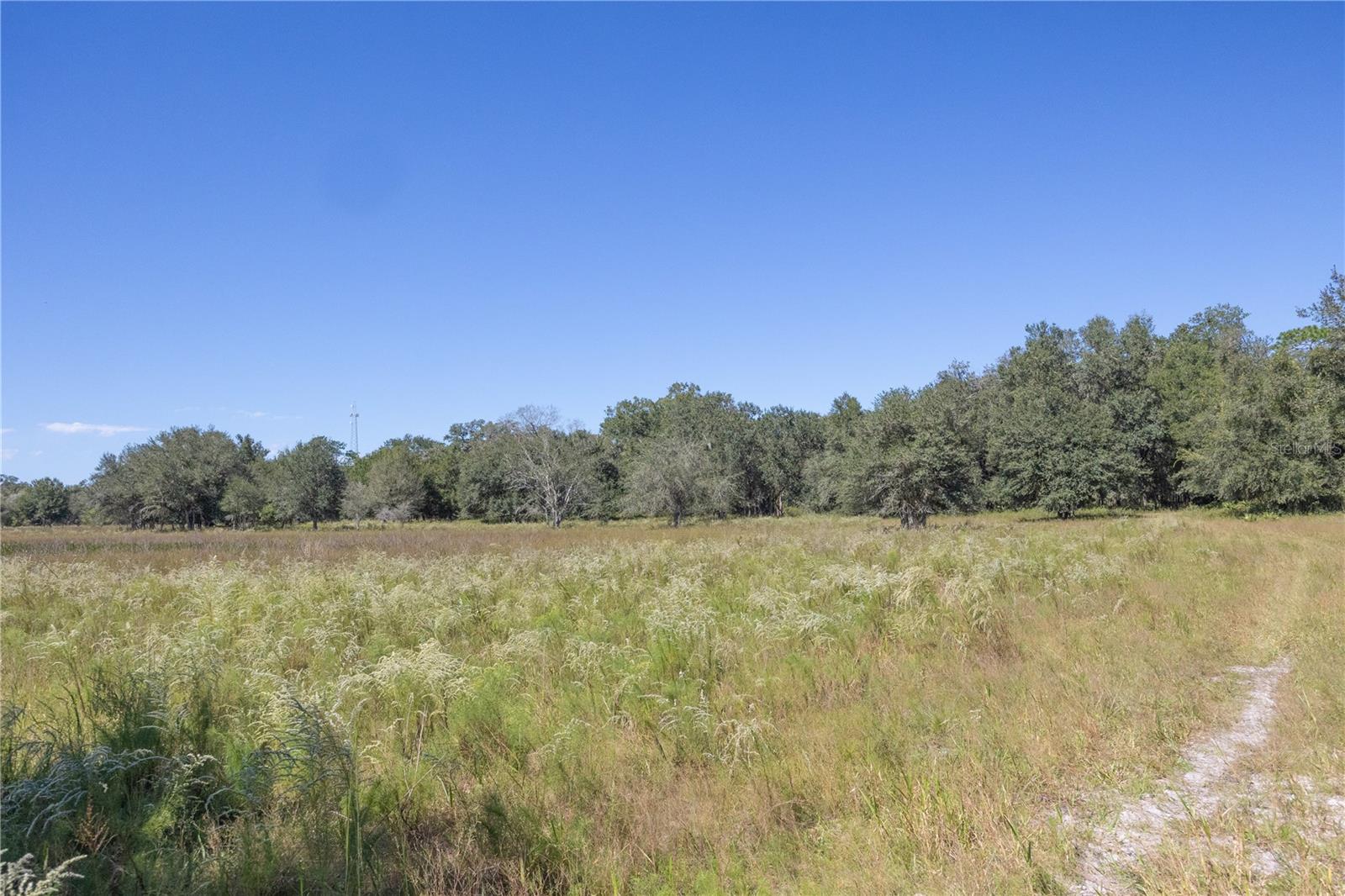 Tbd Cr 673 Property Photo 47