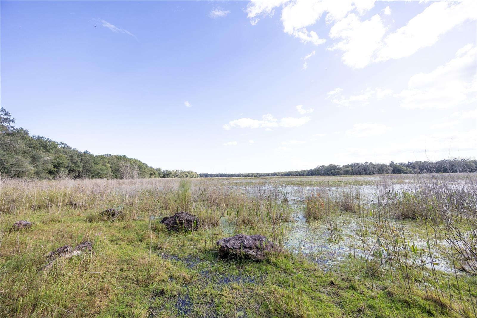 Tbd Cr 673 Property Photo 48