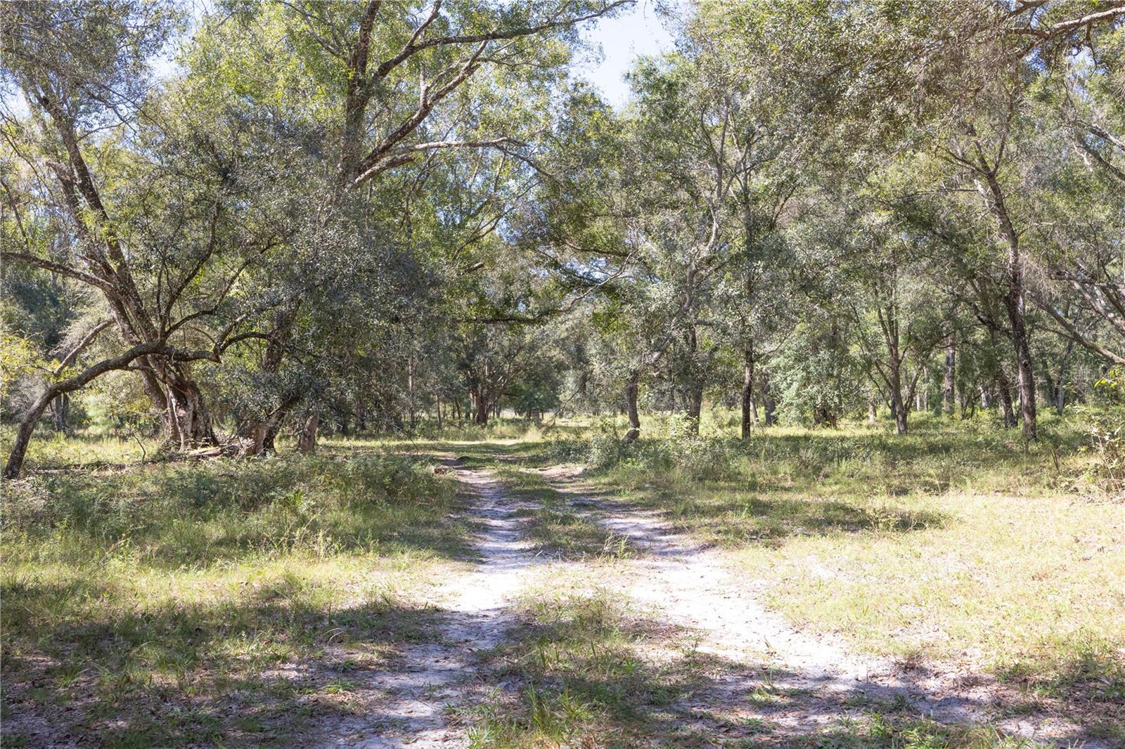 Tbd Cr 673 Property Photo 51