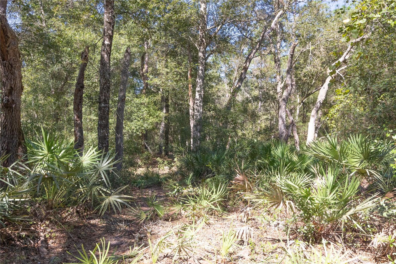 Tbd Cr 673 Property Photo 52