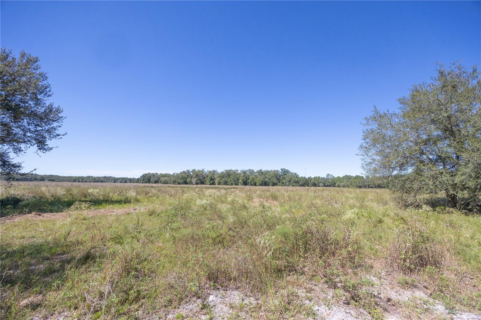 Tbd Cr 673 Property Photo 56