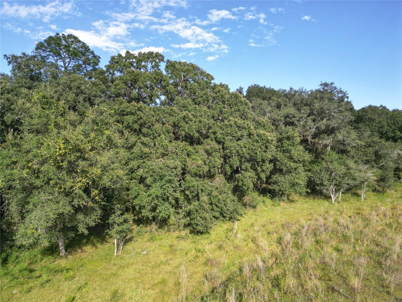 Tbd Cr 673 Property Photo 61
