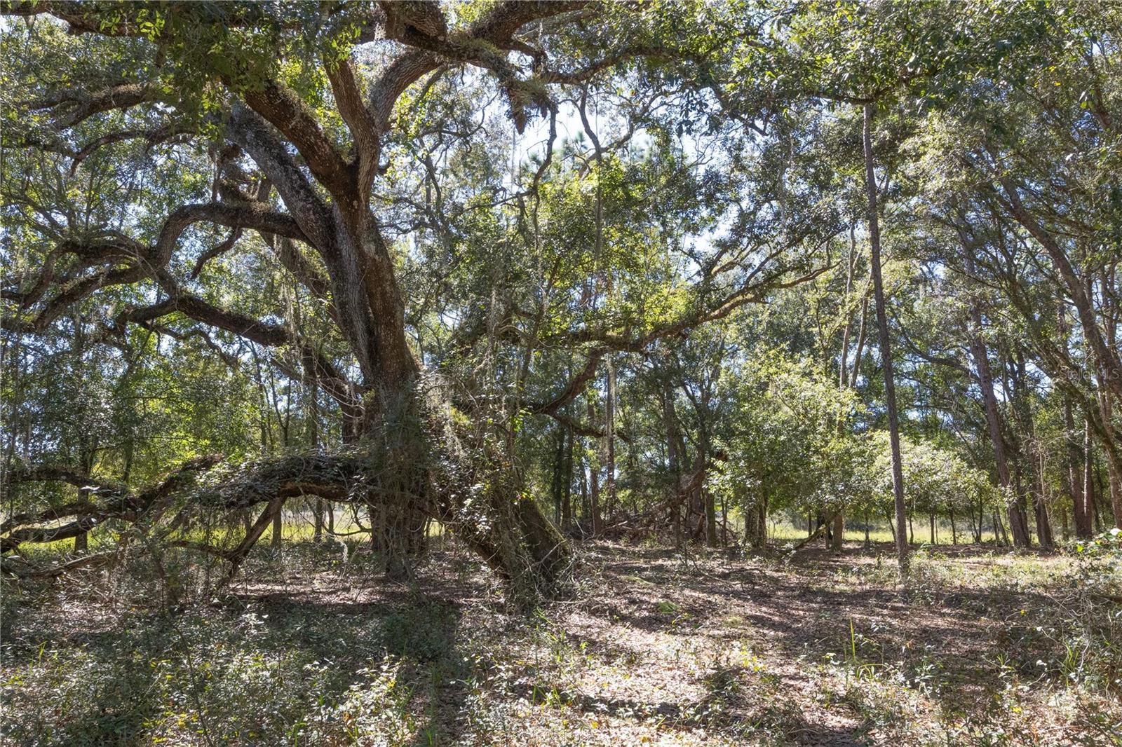 Tbd Cr 673 Property Photo 66