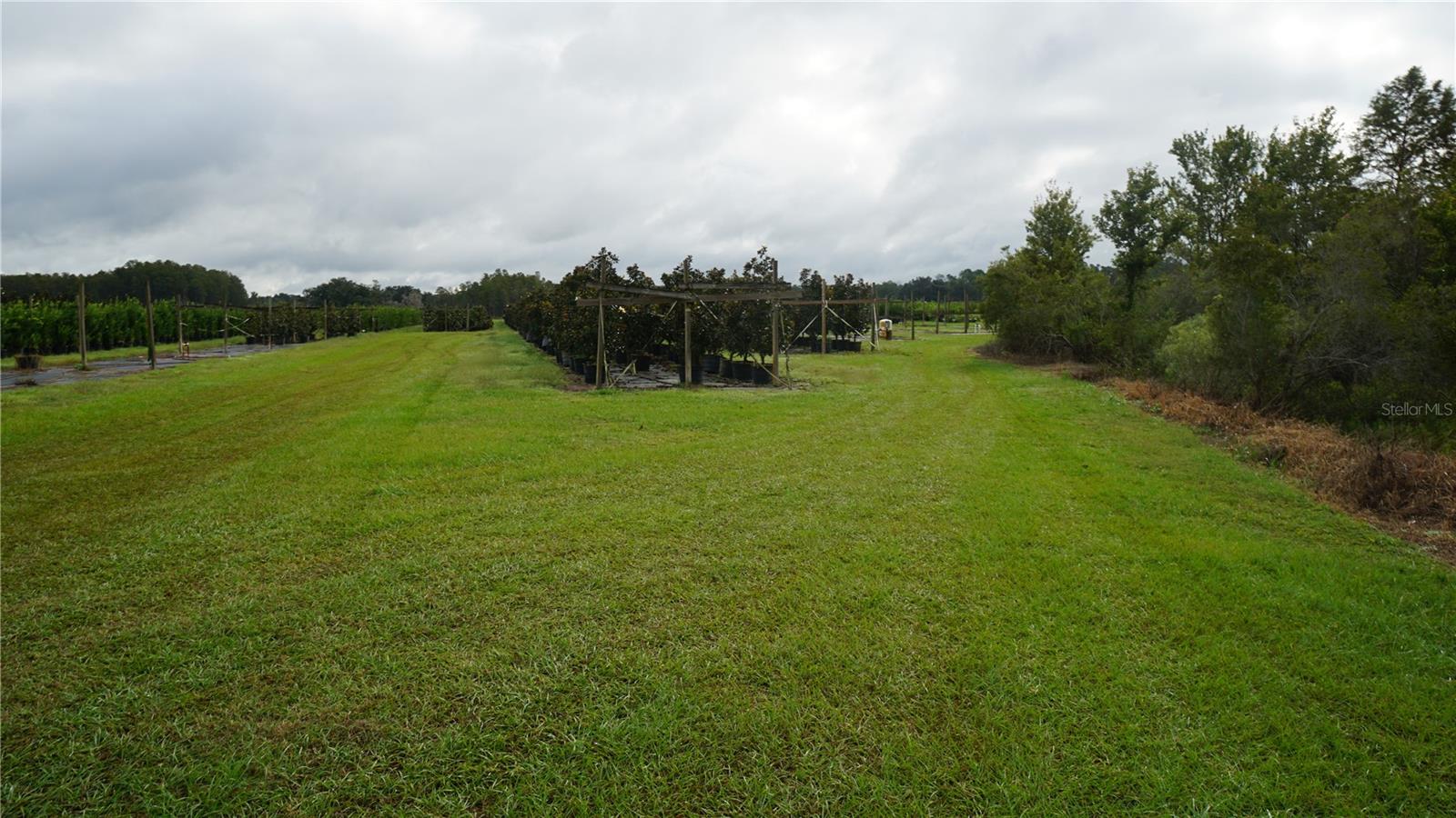 00 Douglas Rd Property Photo 10