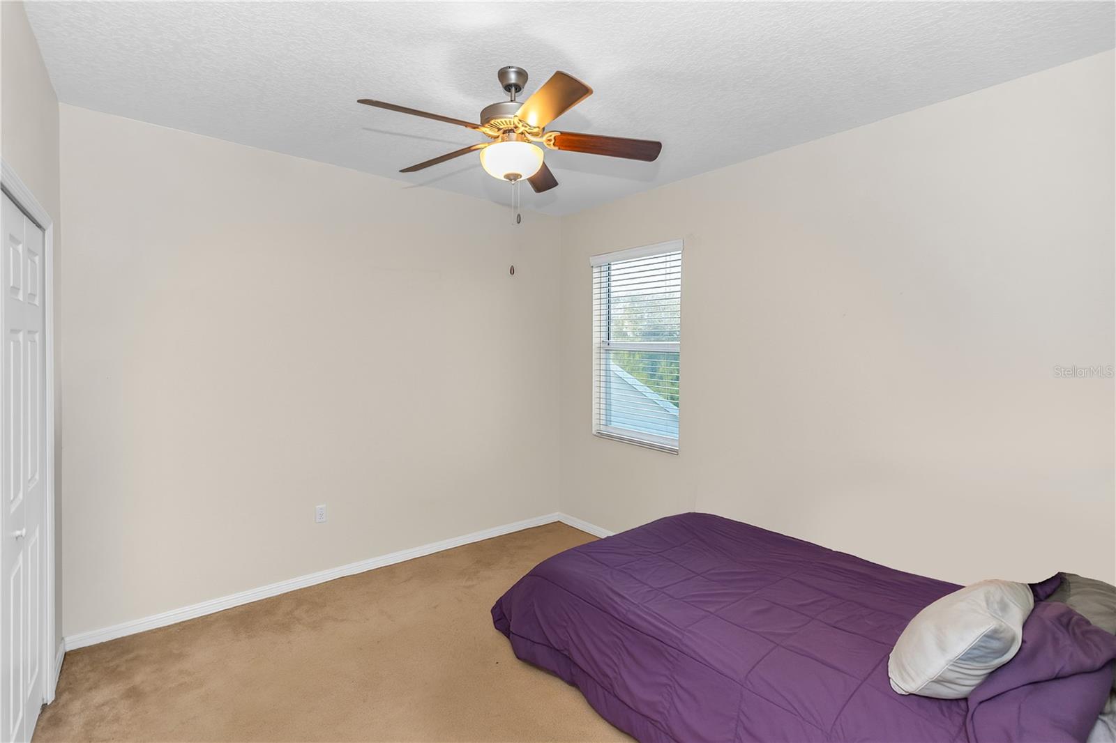 3301 Bethpage Loop Property Photo 38