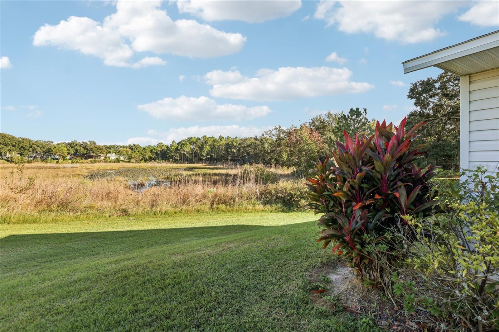 26209 Newcombe Cir Property Photo 24
