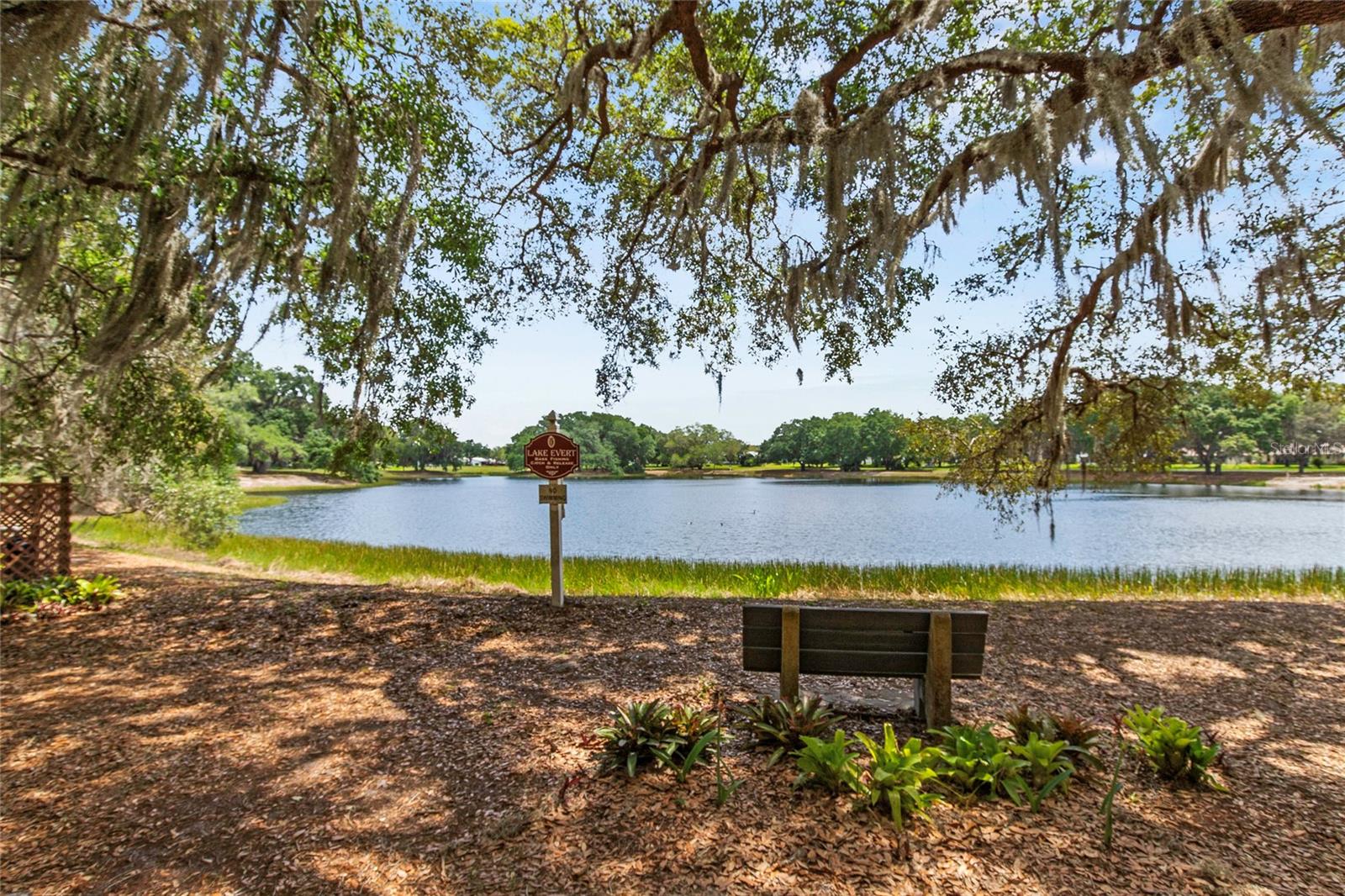 26209 Newcombe Cir Property Photo 33