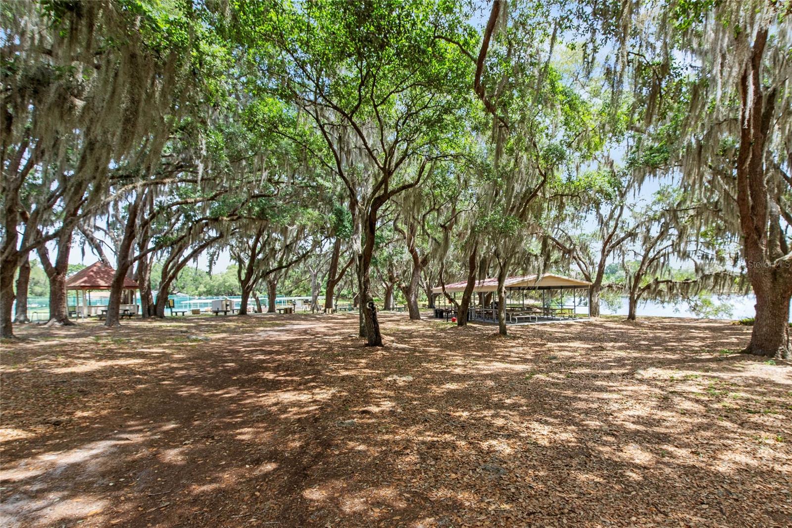 26209 Newcombe Cir Property Photo 34
