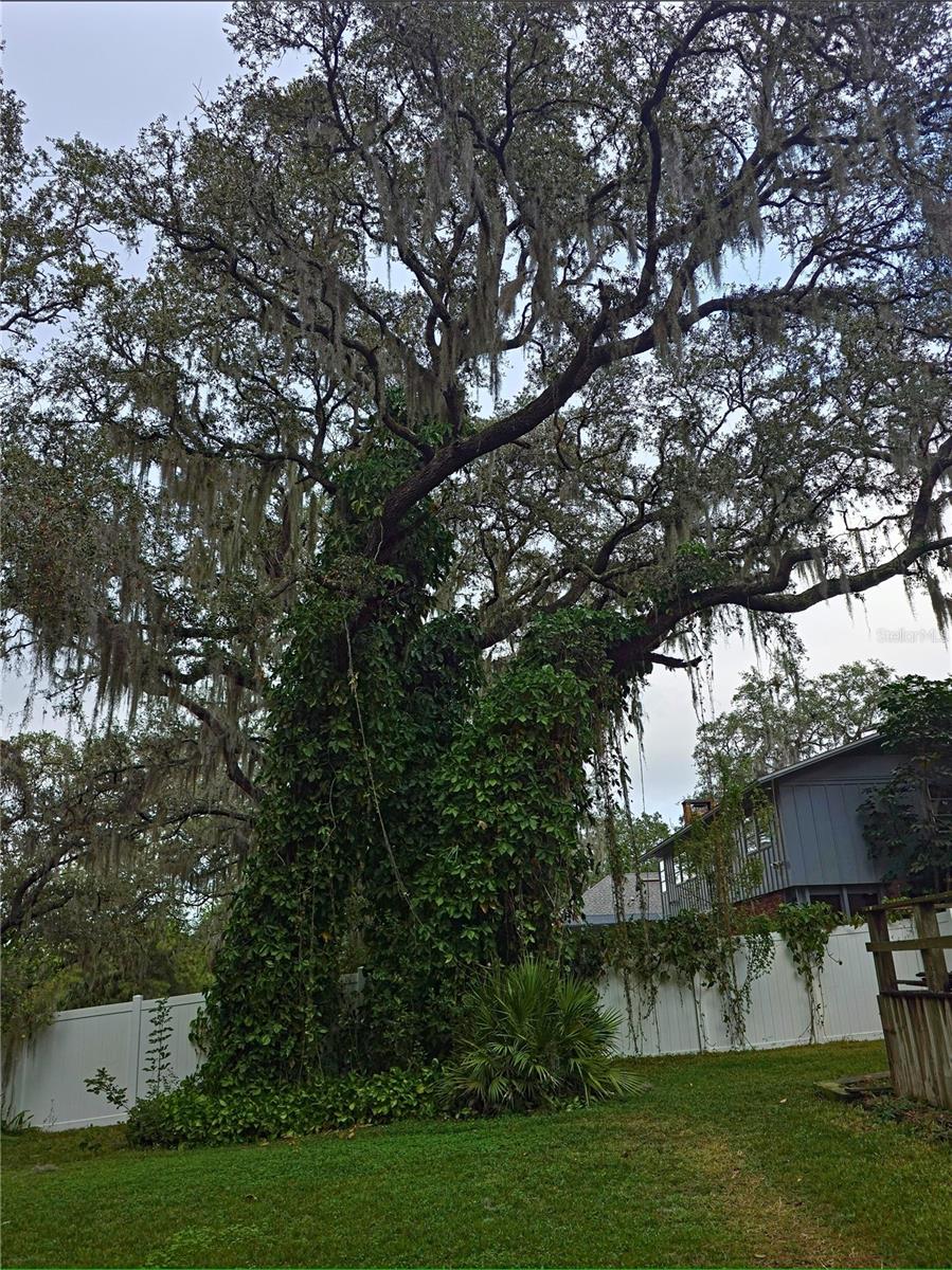 34041 Highland Rd Property Photo 31