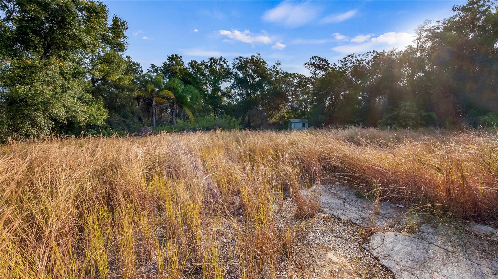 515 Us Highway 27 Property Photo 17