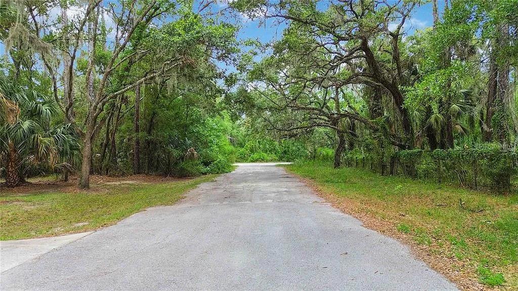 5018 N Andri Dr Property Photo 4