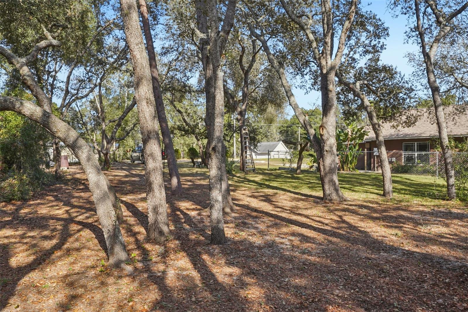4542 Lemon St Property Photo 45