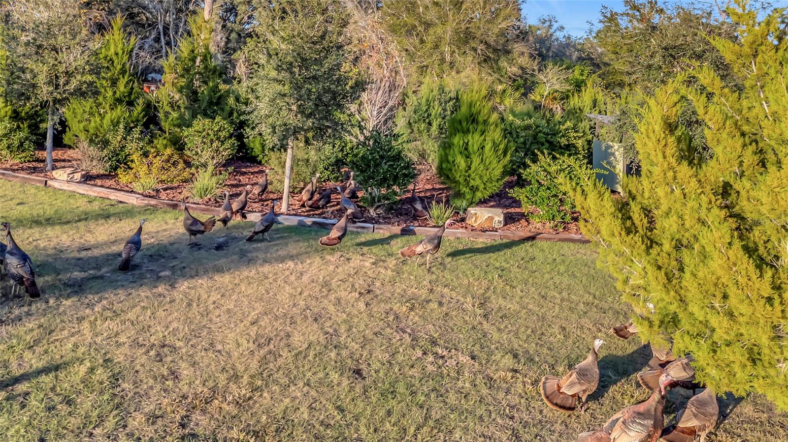7330 Crabgrass Rd Property Photo 40