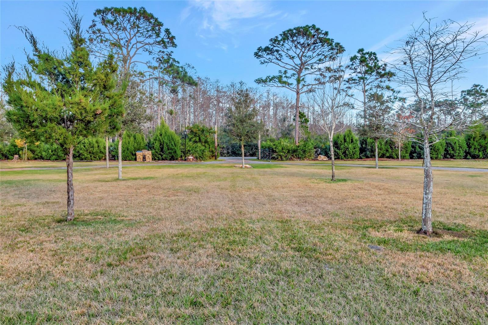 7330 Crabgrass Rd Property Photo 60