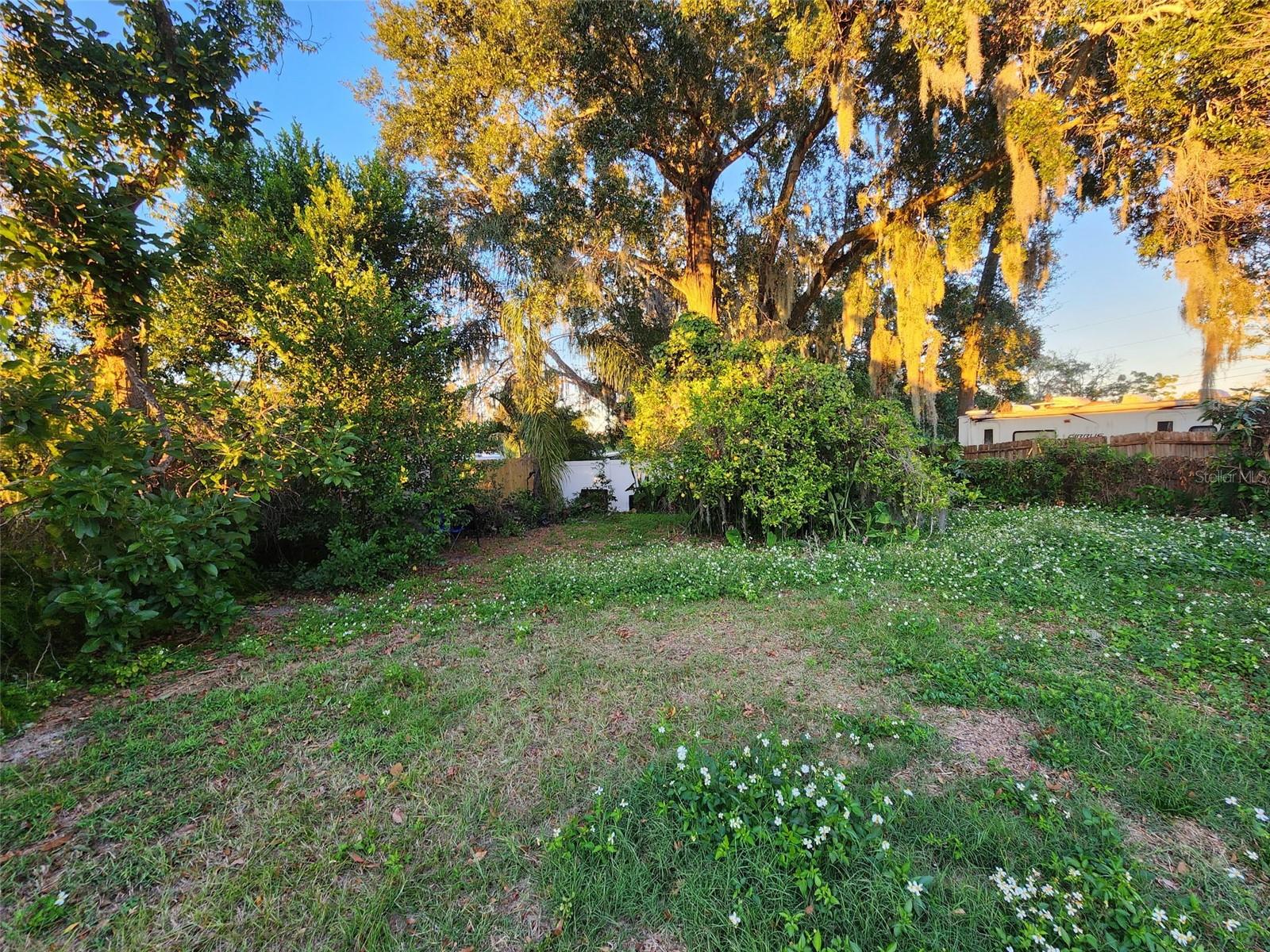 709 Alton Ave Property Photo 15